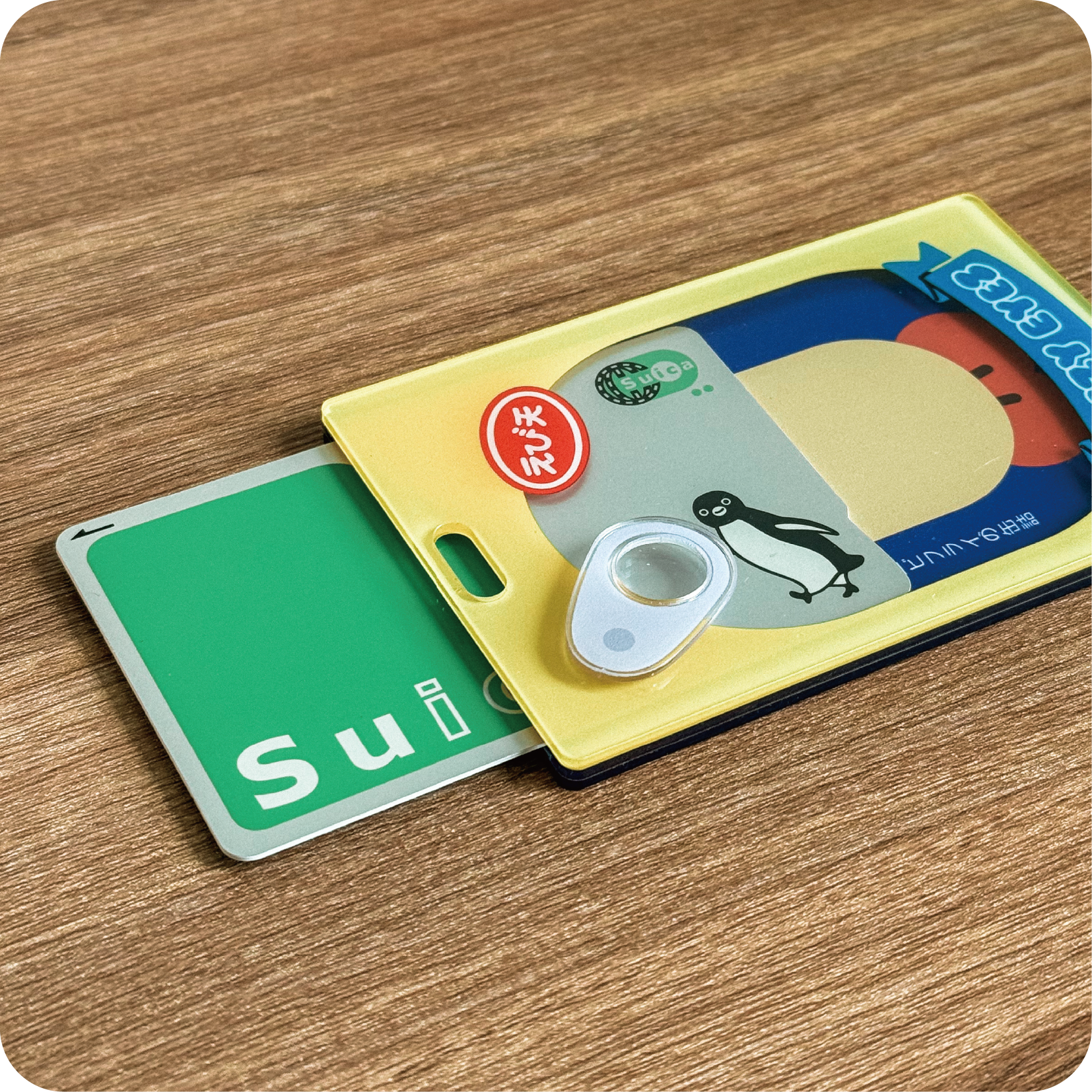 壓克力票卡收納｜炸蝦罐頭票卡收納