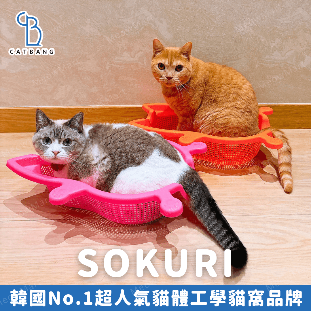 韓國 CATBANG 菜籃子貓窩