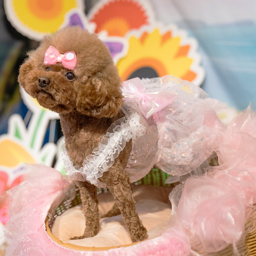 【S~4XL】Floral Lace Tent Dress