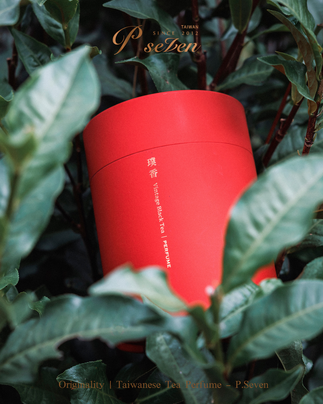 ピーセブン　p seven 璞香　VINTAGE BLACK TEA P.Seven 《 Vintage Black Tea 璞香》香水