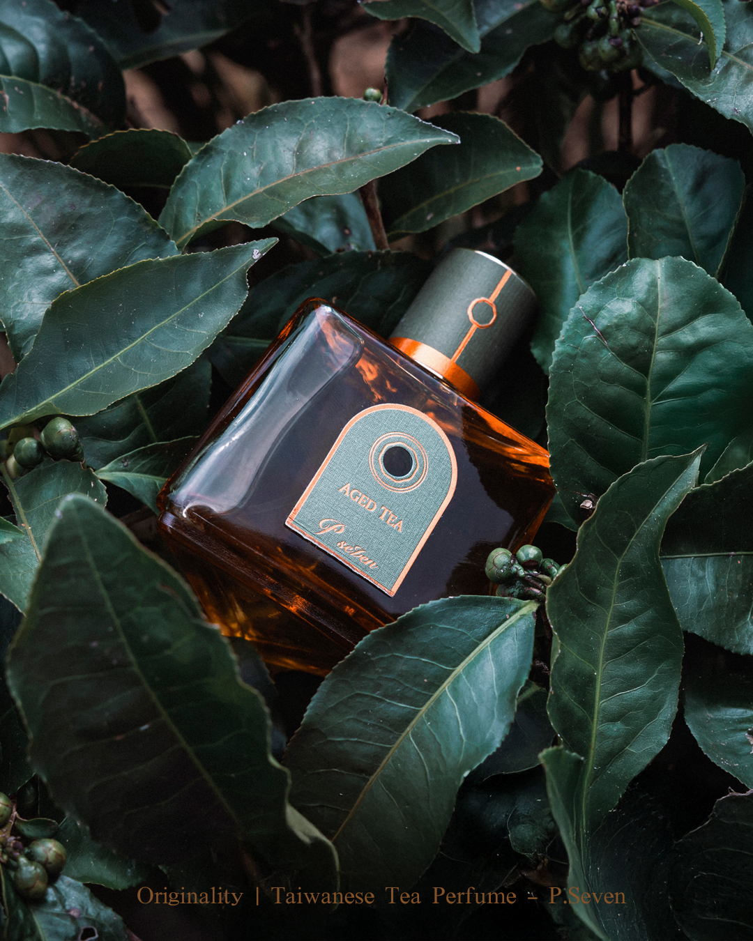 國際首獎 P.Seven《 Aged Tea 暗香 》香水