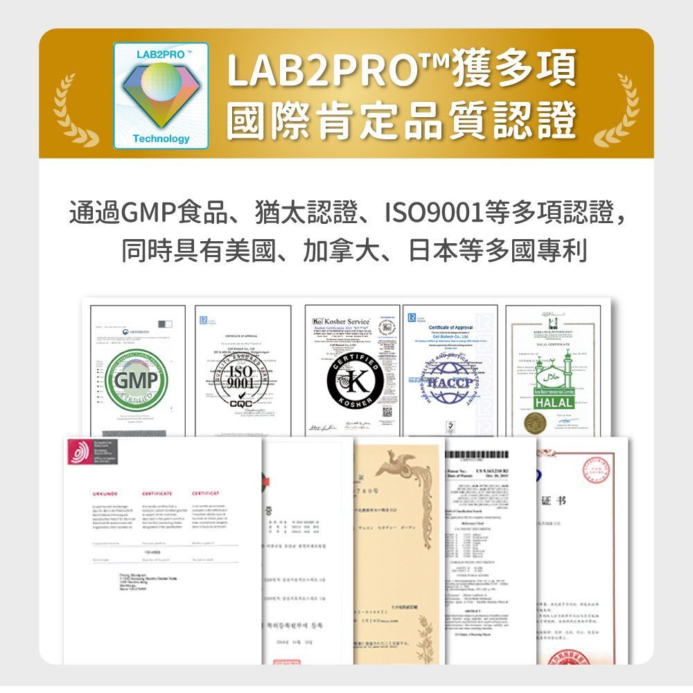 毛孩時代｜腸胃專科益生菌