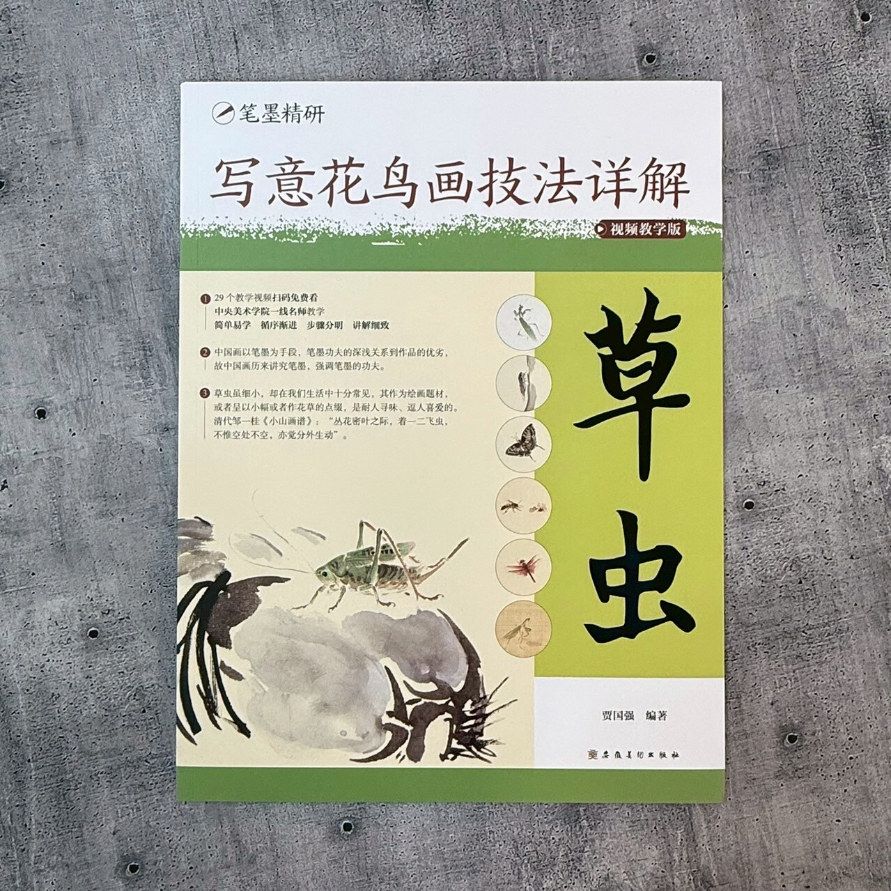 筆墨精研：寫意花鳥畫技法詳解草蟲
