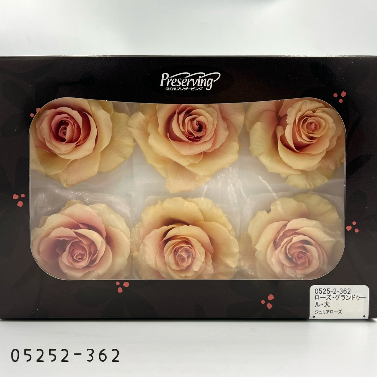 日本不凋大輪漸層玫瑰(6輪) 05252-362