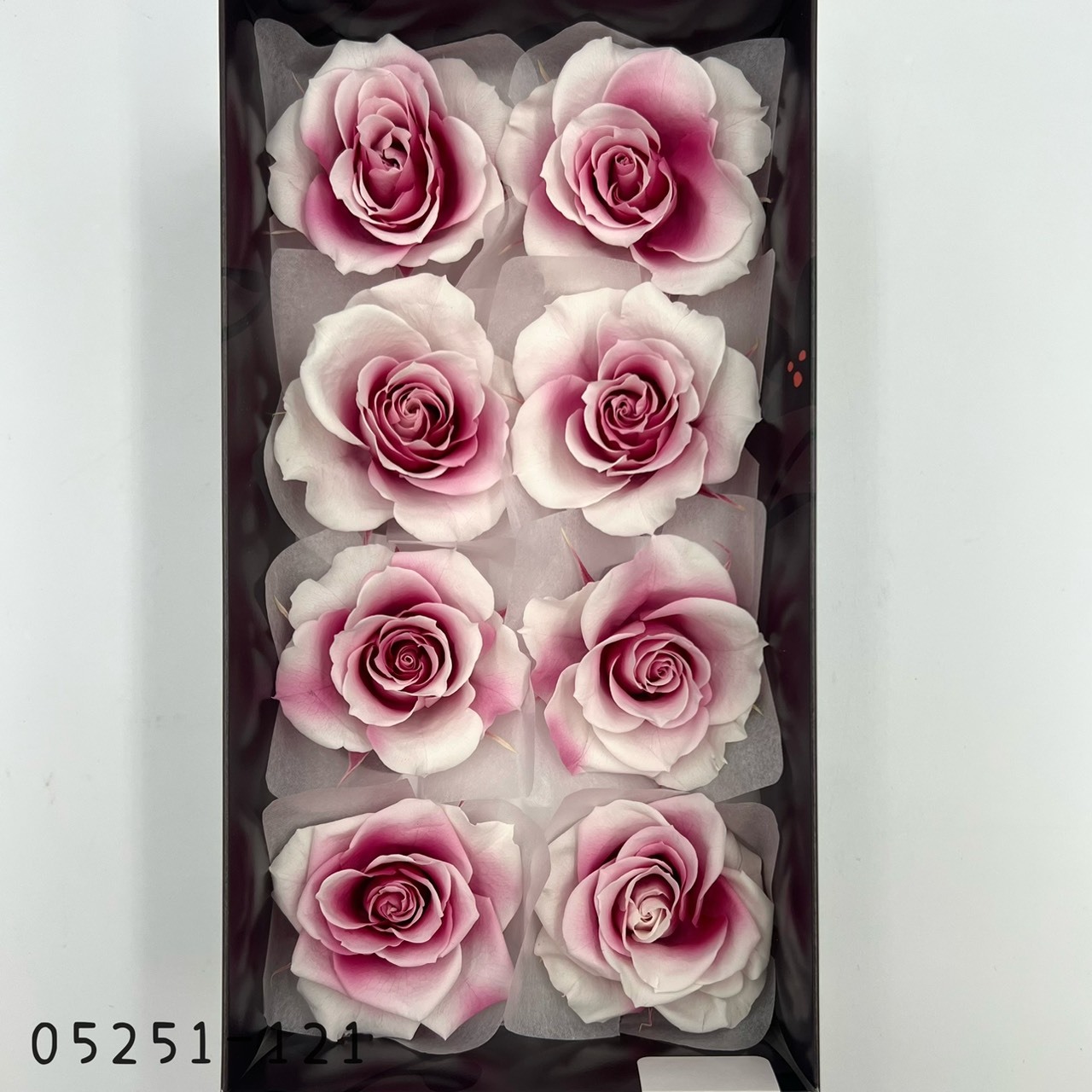 日本不凋大輪漸層玫瑰(8輪) 05251-121