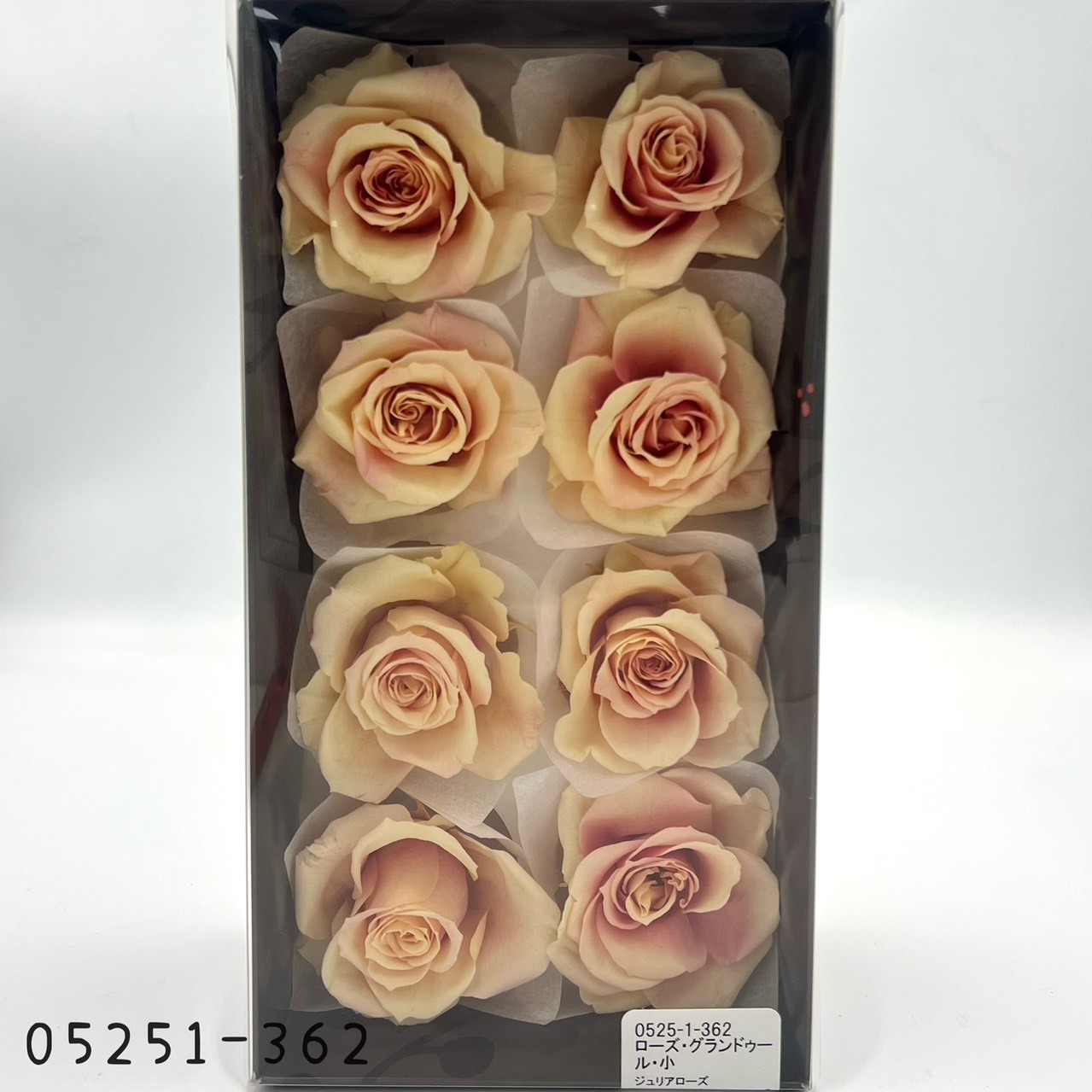 日本不凋大輪漸層玫瑰(8輪) 05251-362
