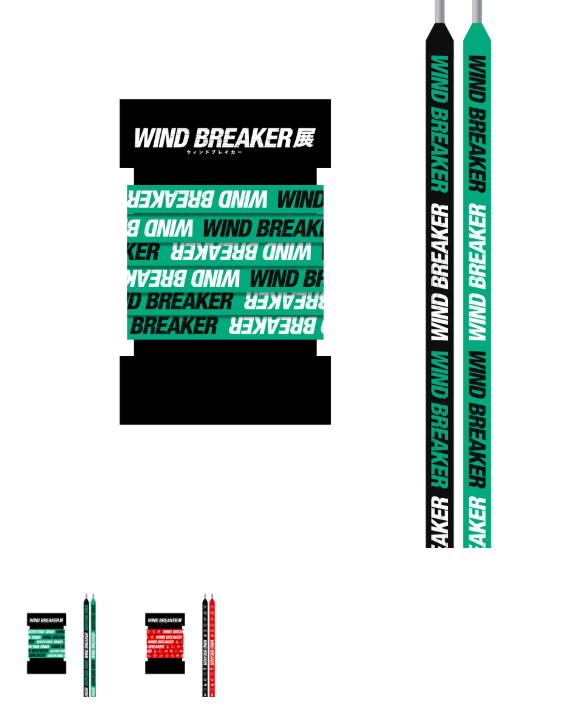 [代購][預訂] WINDB REAKER展 鞋繩 (2色)