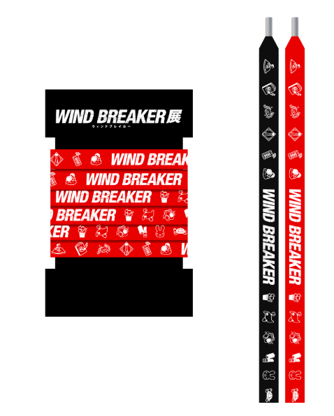 [代購][預訂] WINDB REAKER展 鞋繩 (2色)