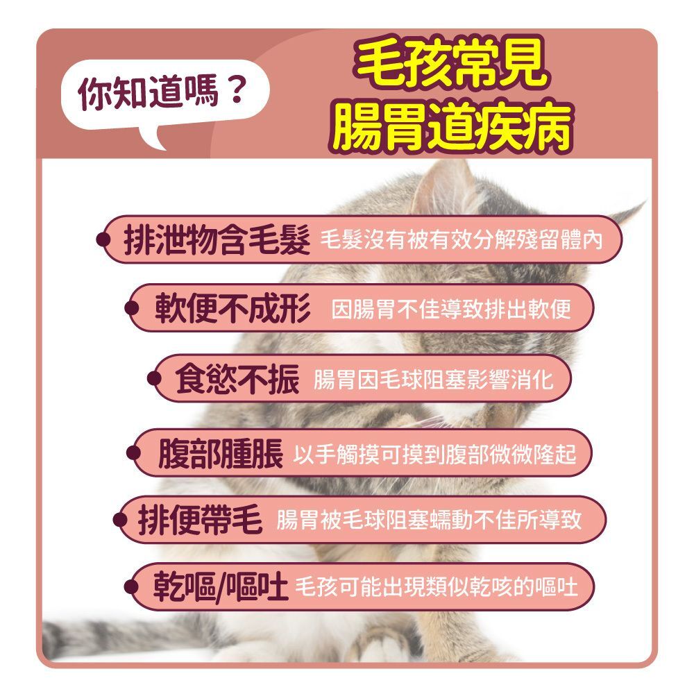 毛孩時代｜化毛專科益生菌