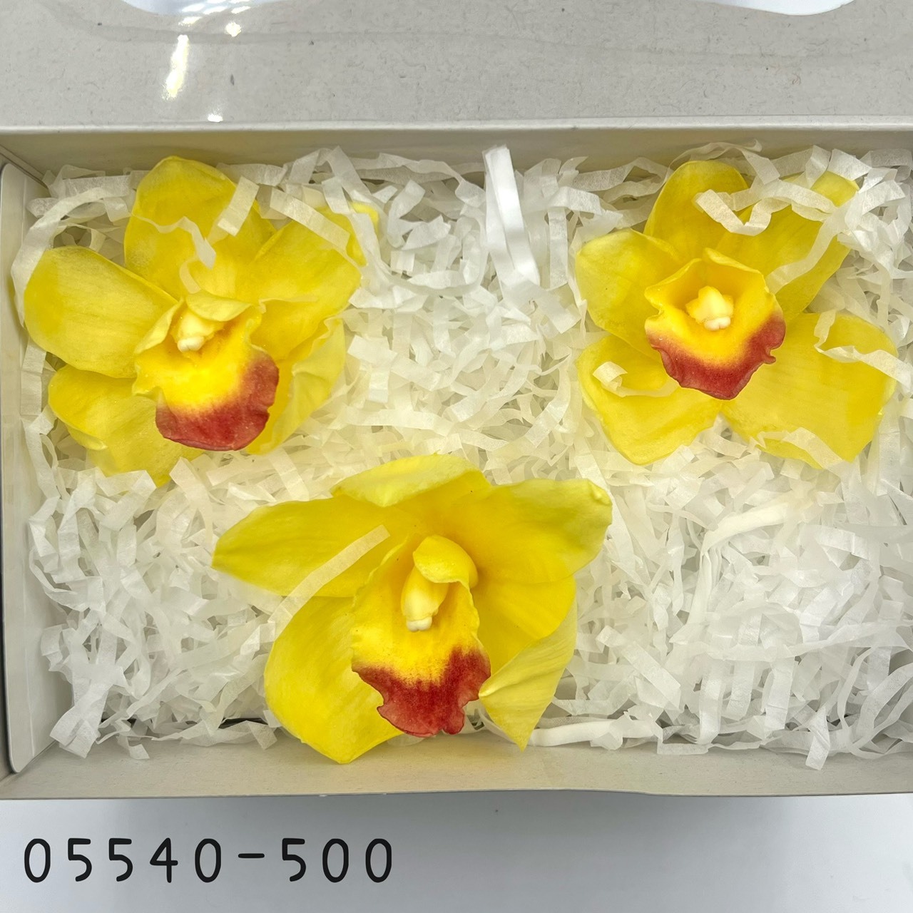 日本不凋東亞蘭 05540-500