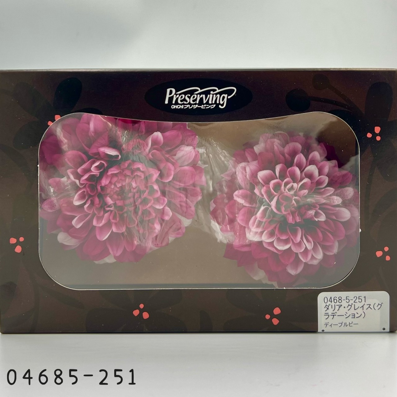 日本不凋漸層大理花(2朵/盒) 04685-251