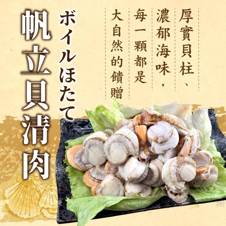 北海道噴火灣產的新鮮干貝孕育出口感鮮甜、肉質飽滿的帆立貝