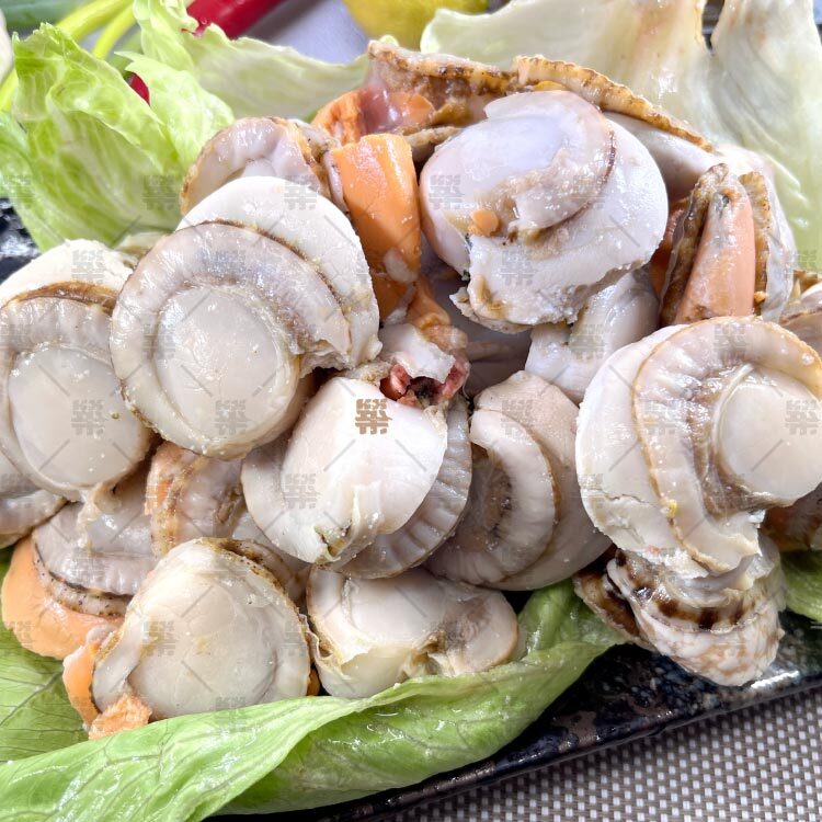 日本北海道帆立貝清肉，M等級大尺寸