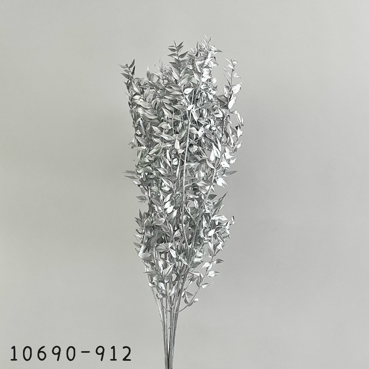 日本不凋銀色小樺木 10690-912