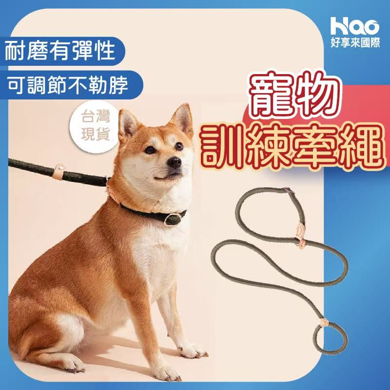 寵物訓練牽繩