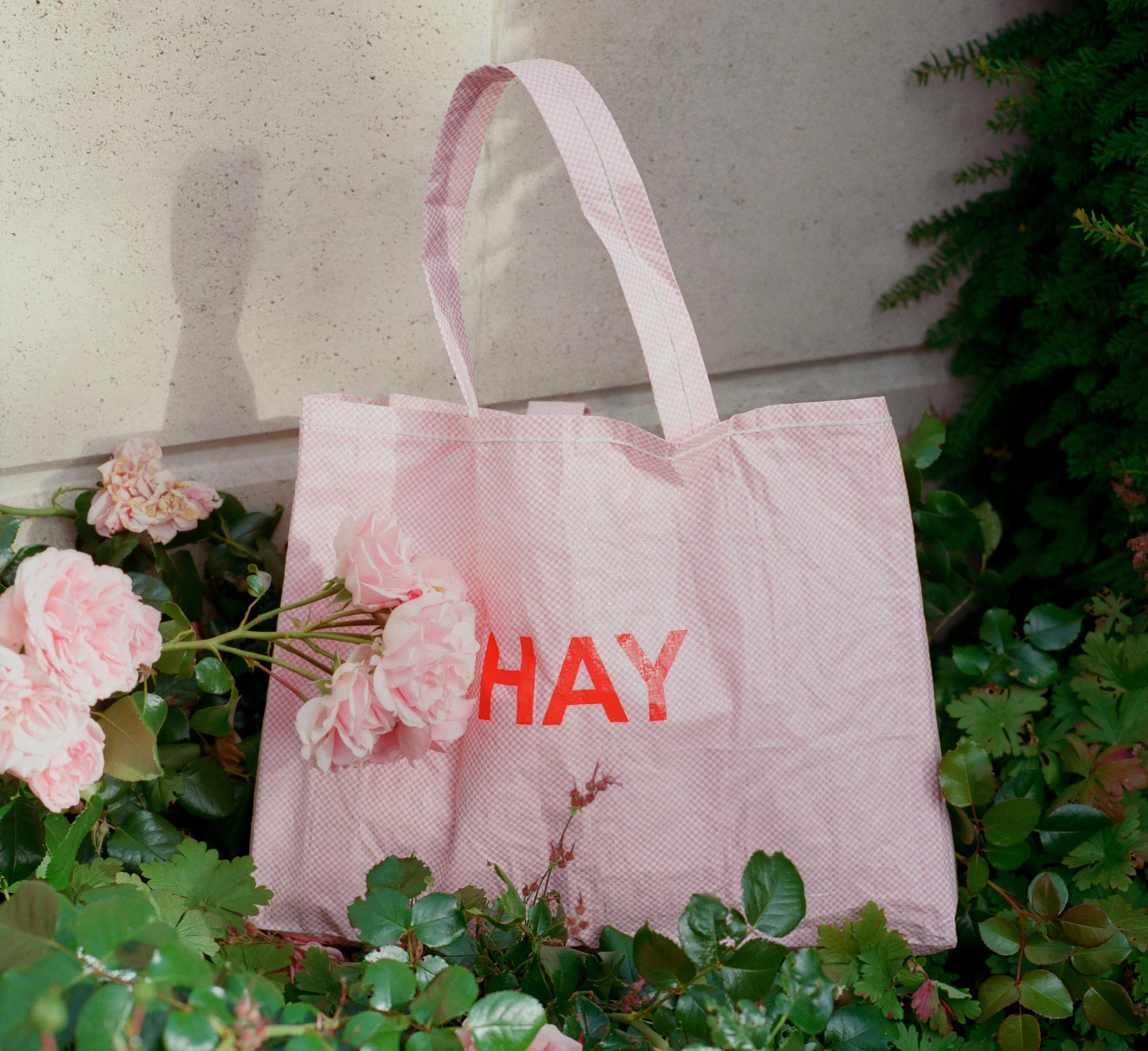 Candy Mono Bag M / 提袋