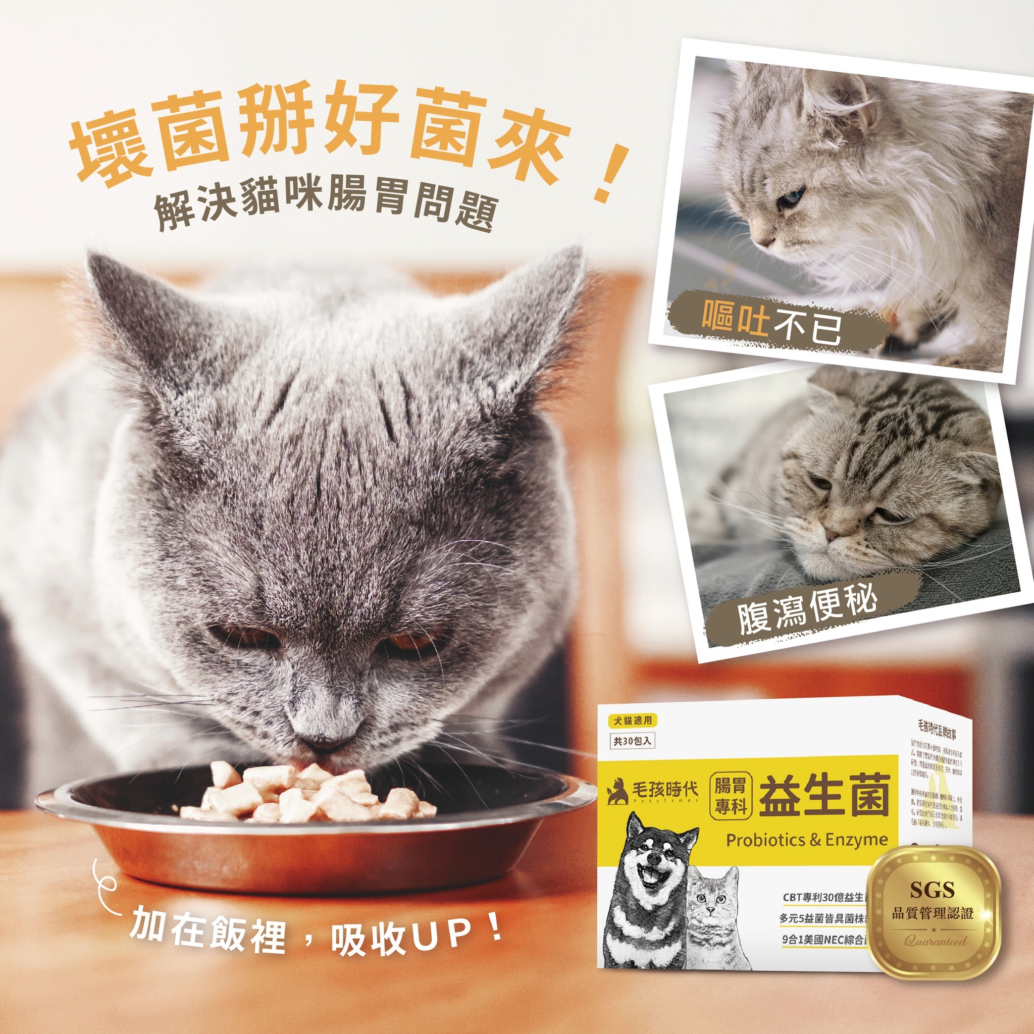 毛孩時代｜腸胃專科益生菌