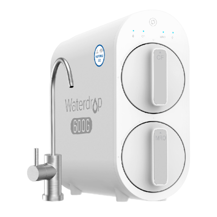 (可議價)EVERPURE 愛惠浦 Waterdrop 廚下直出RO淨水設備 含安裝 (G2P600)