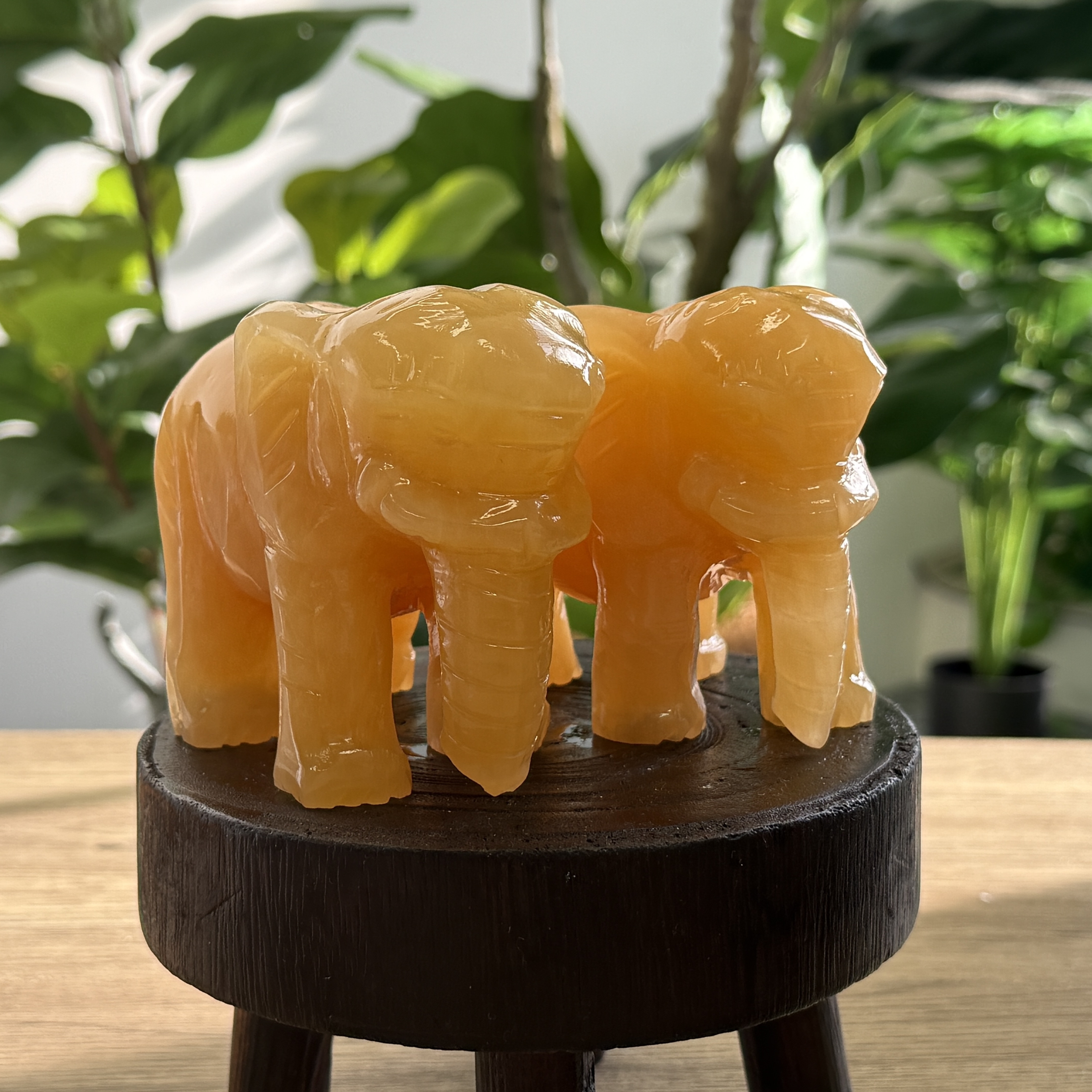 黃玉吸水如意象 WQ1631