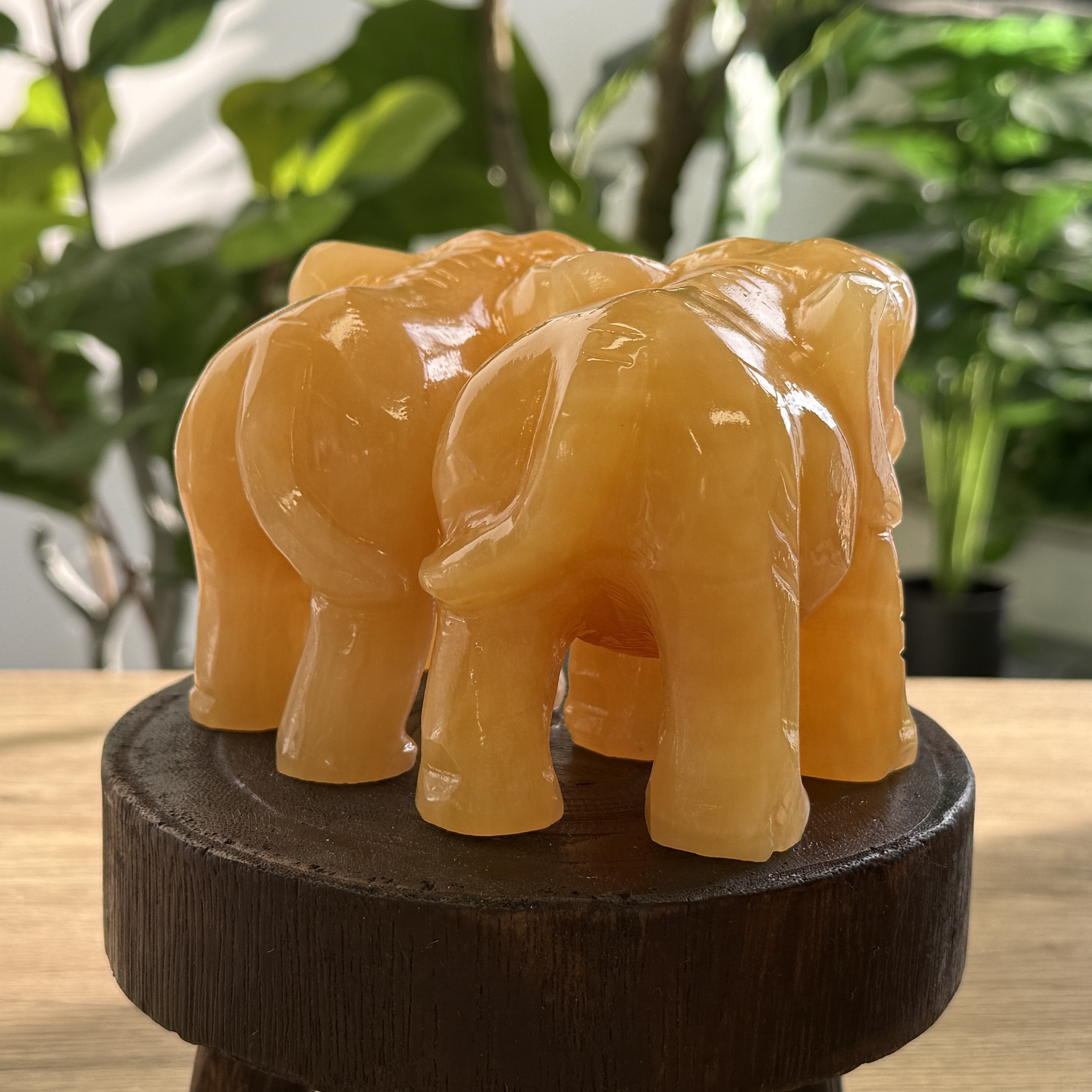 黃玉吸水如意象 WQ1631