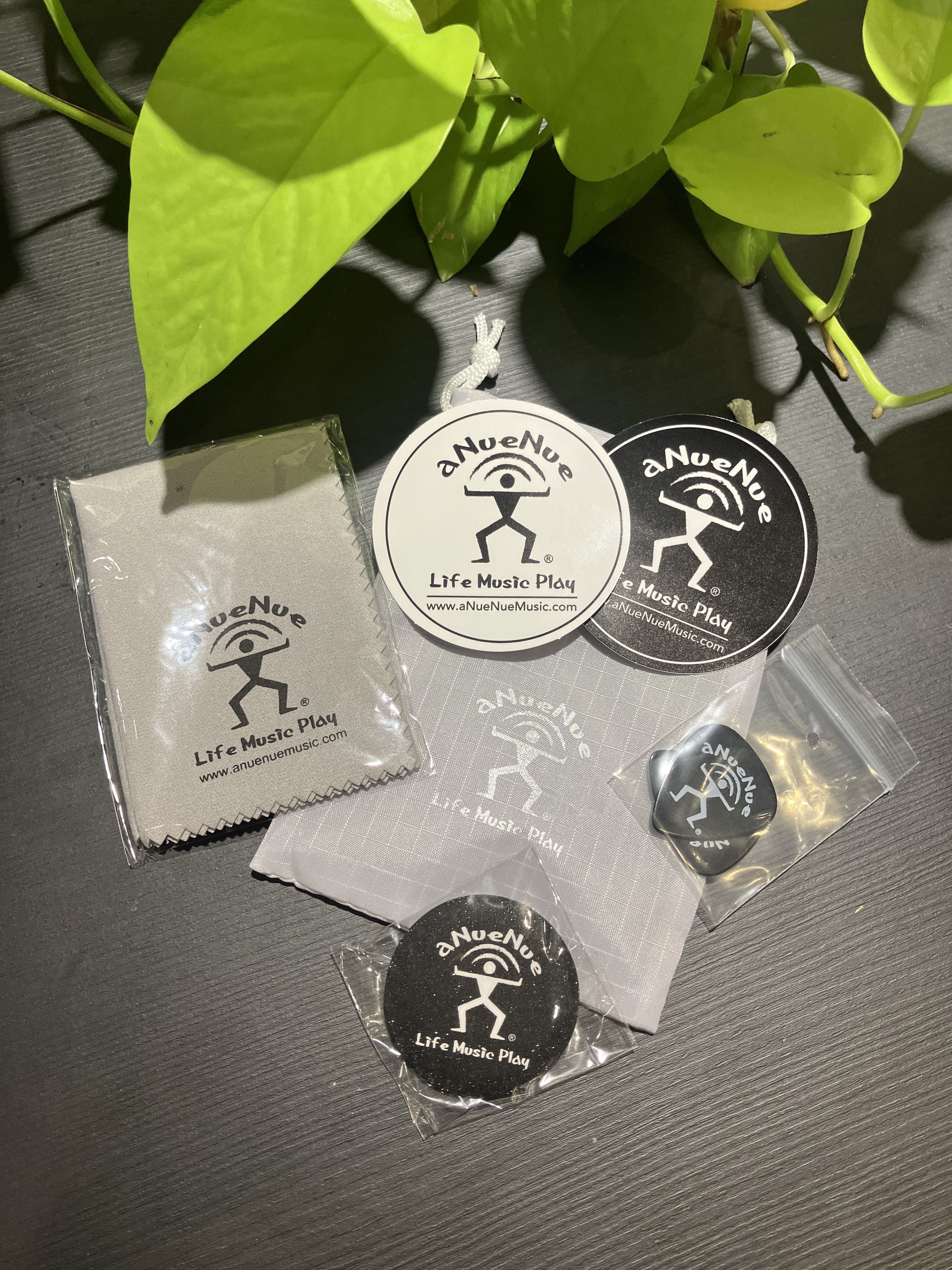 台灣品牌aNueNue】原廠配件包灰色束口袋pick 貼紙徽章擦琴布