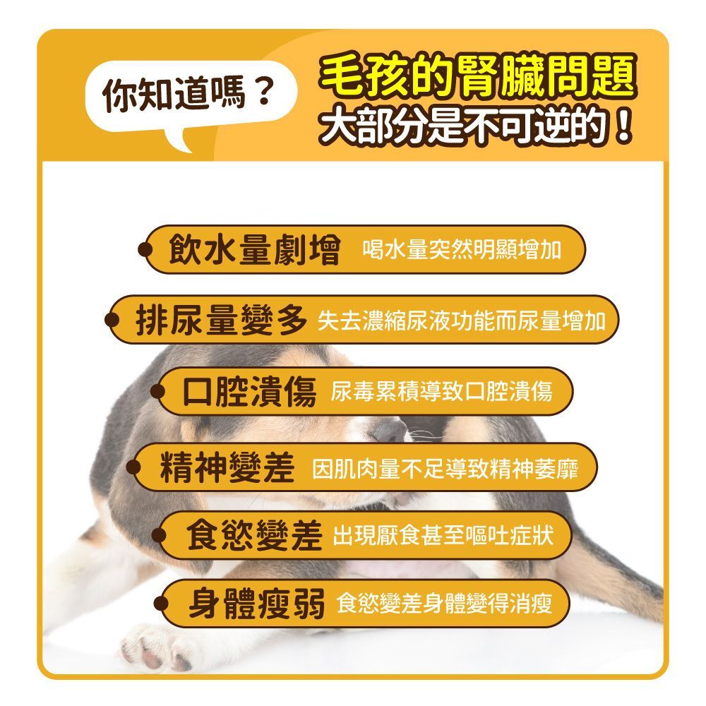 毛孩時代｜腎臟專科保健粉