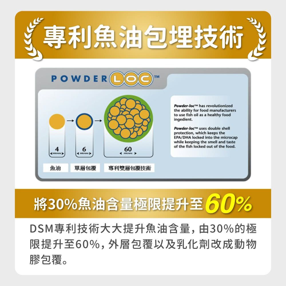 毛孩時代｜皮膚專科益生菌