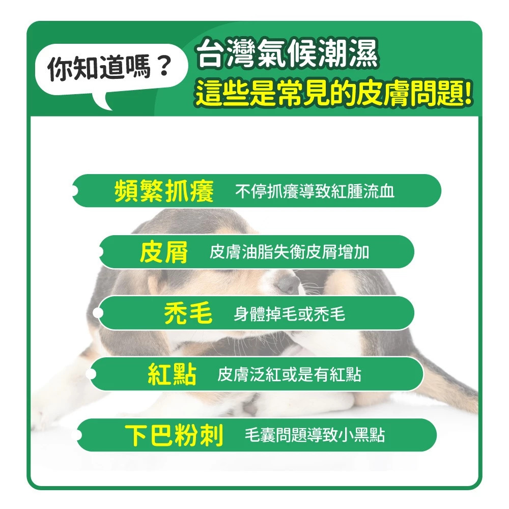 毛孩時代｜皮膚專科益生菌