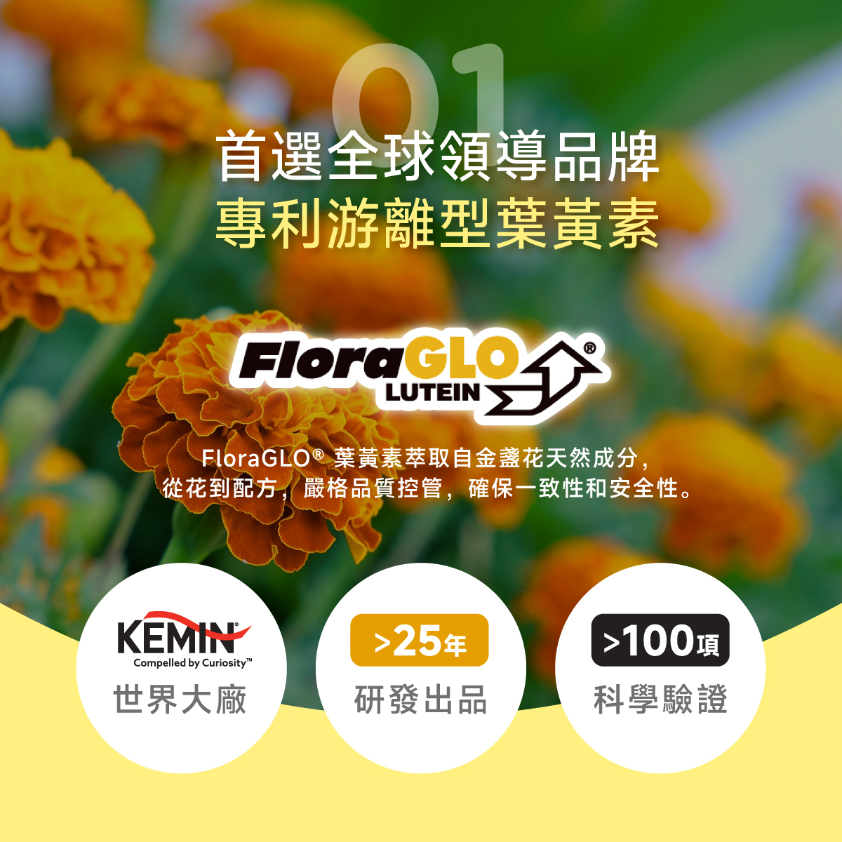 KEMIN.全球.美國.美國專利.FloraGLO®​.游離型葉黃素.游離型.葉黃素