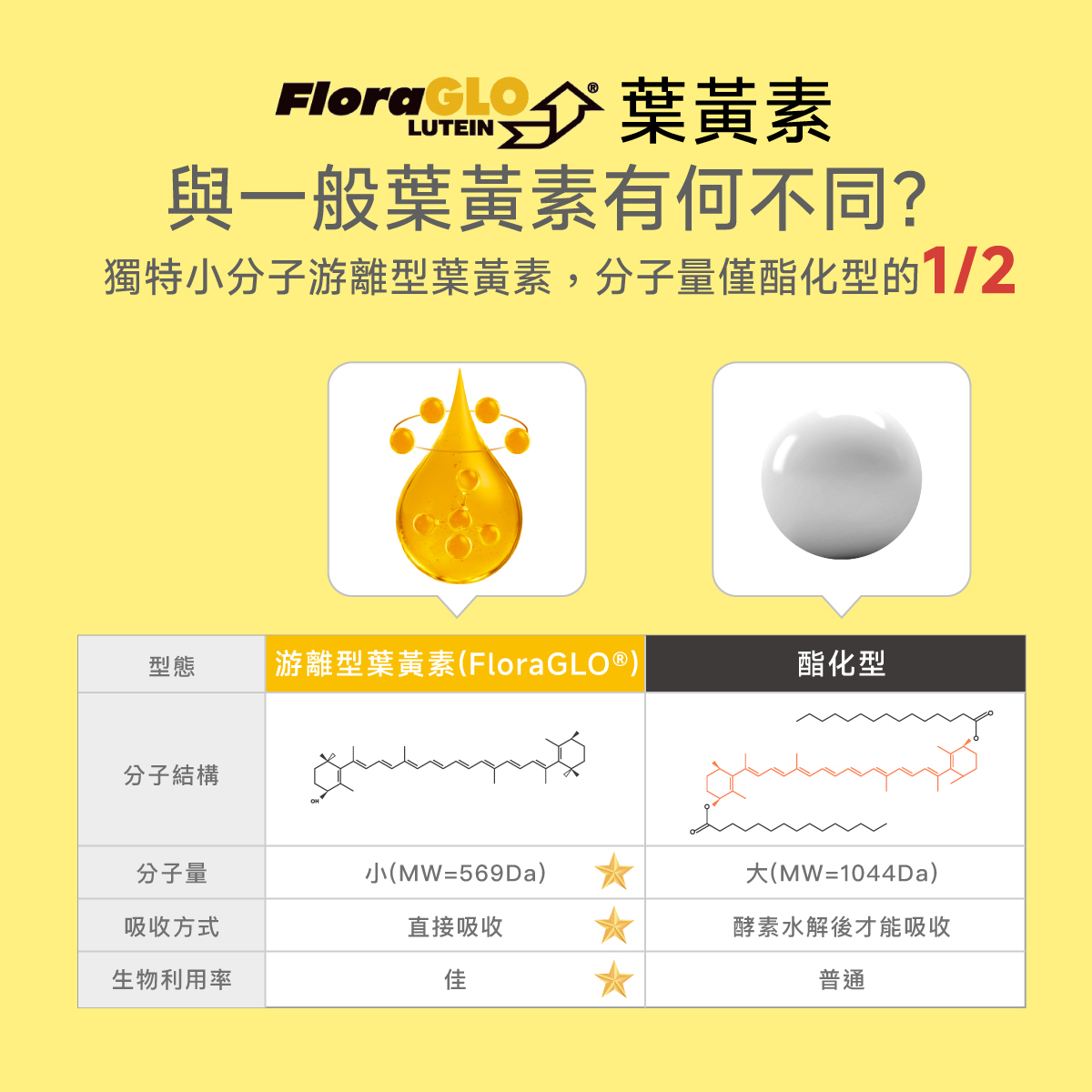 FloraGLO®.游離型葉黃素.酯化型.分子量.小分子.生物利用率