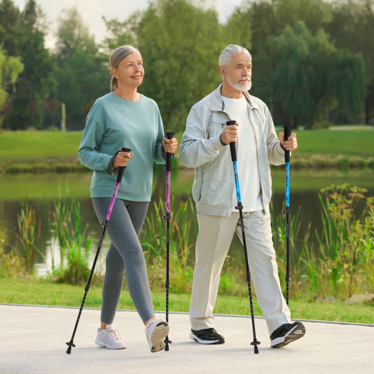 Lamigo 鋁合金健走杖組