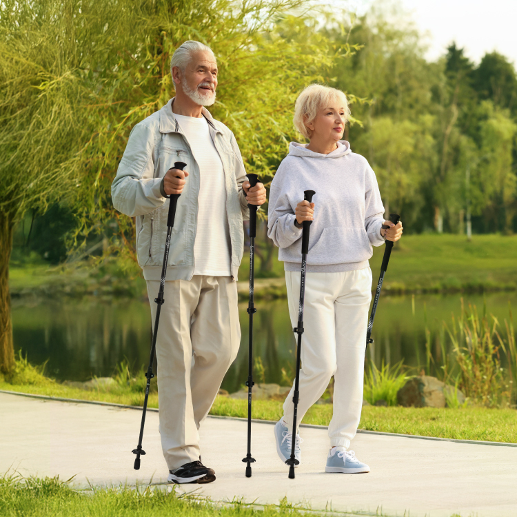 【2入，平均$1840/件】Lamigo 3K碳纖維健走杖組