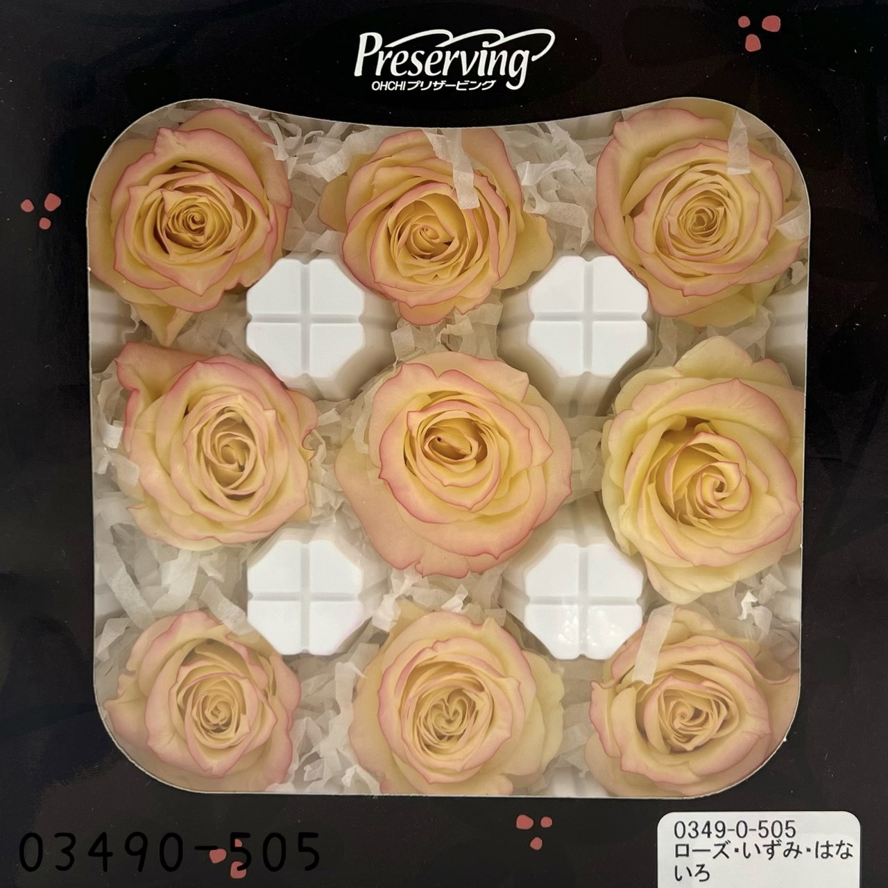 日本不凋中輪滾邊玫瑰(9朵) 03490-505