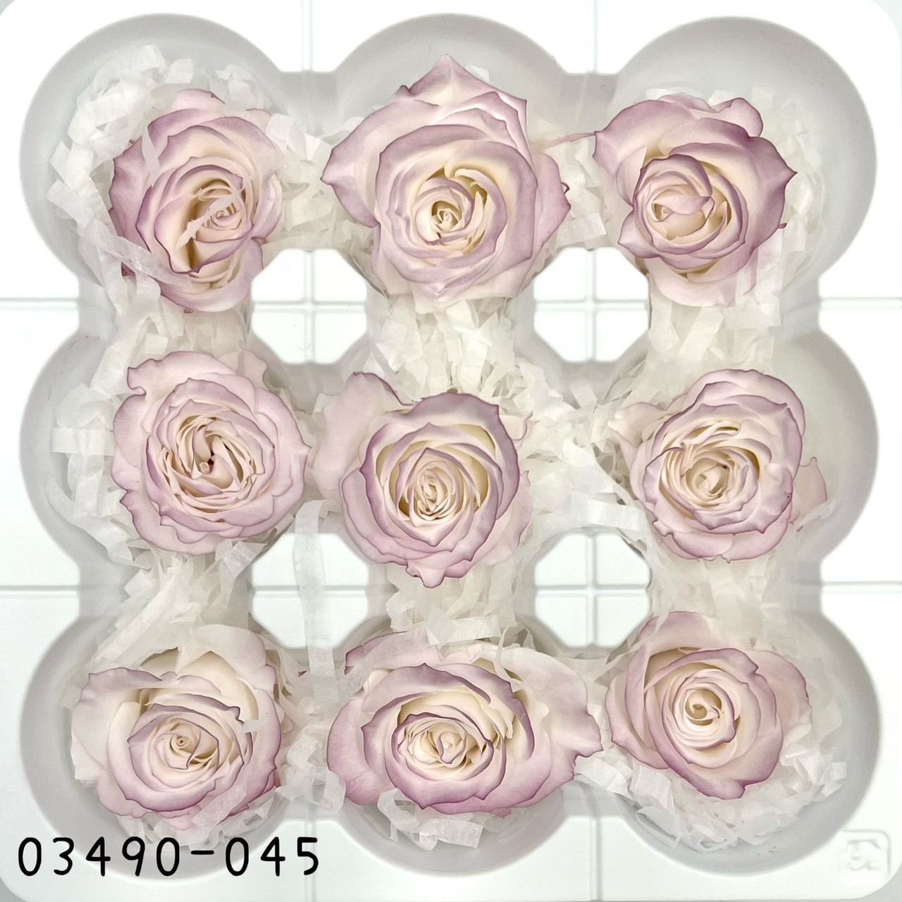 日本不凋中輪滾邊玫瑰(9朵) 03490-045