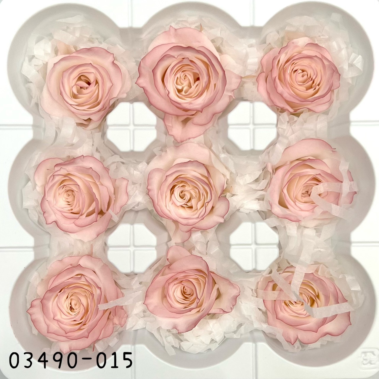 日本不凋中輪滾邊玫瑰(9朵) 03490-015