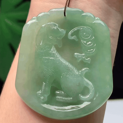 726335 翡翠晴底狗牌