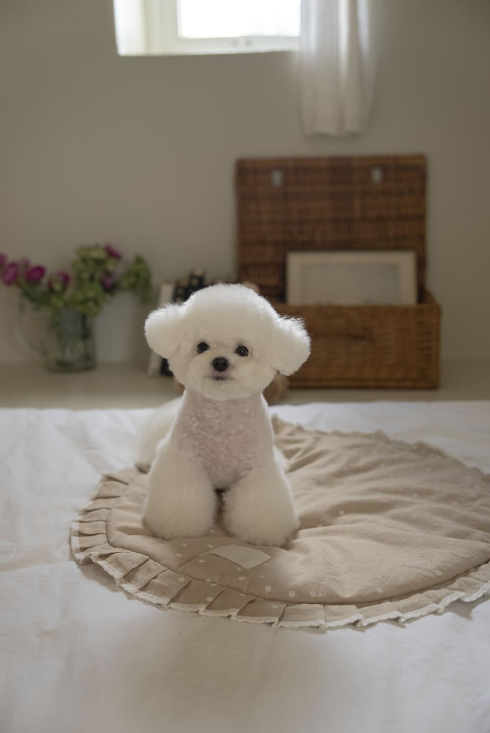 OPAAAP 巴黎假期多功能圓墊（卡其）