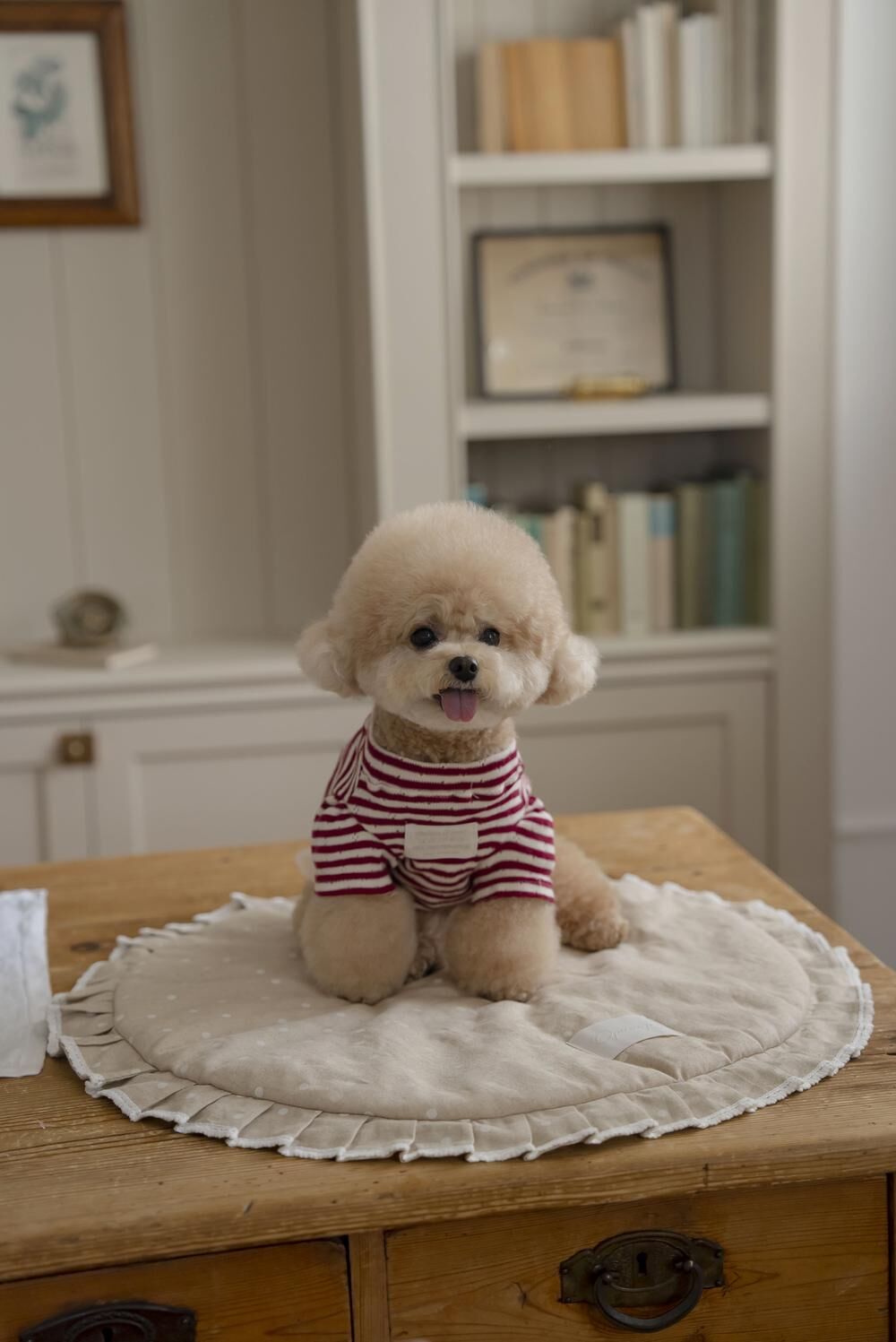 OPAAAP 巴黎假期多功能圓墊（卡其）