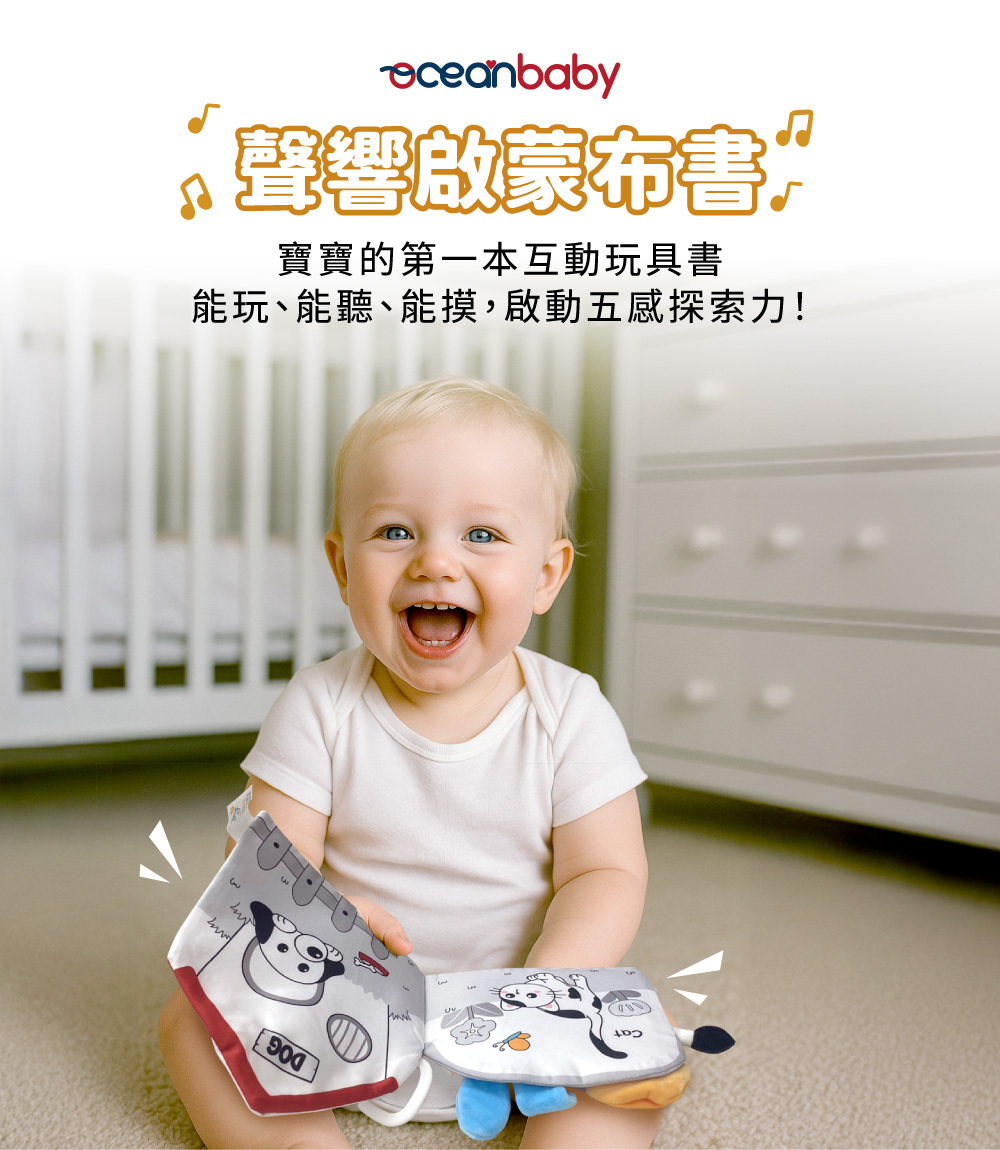布書