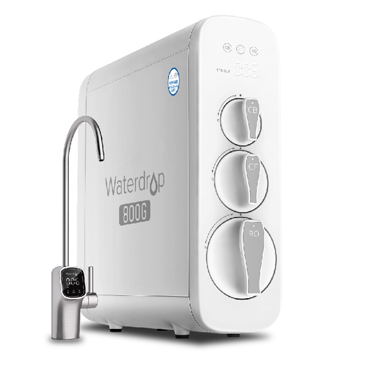 EVERPURE 愛惠浦 Waterdrop 廚下直出RO淨水設備 含安裝 (G3P800)
