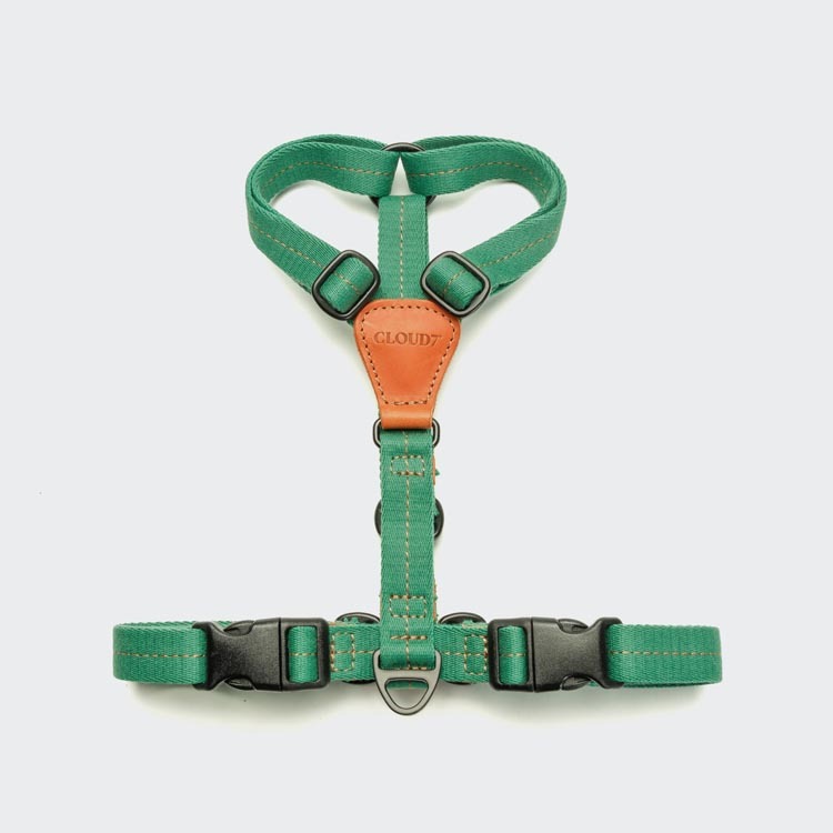 CLOUD7 - 胸背帶 Madeira - 琥珀