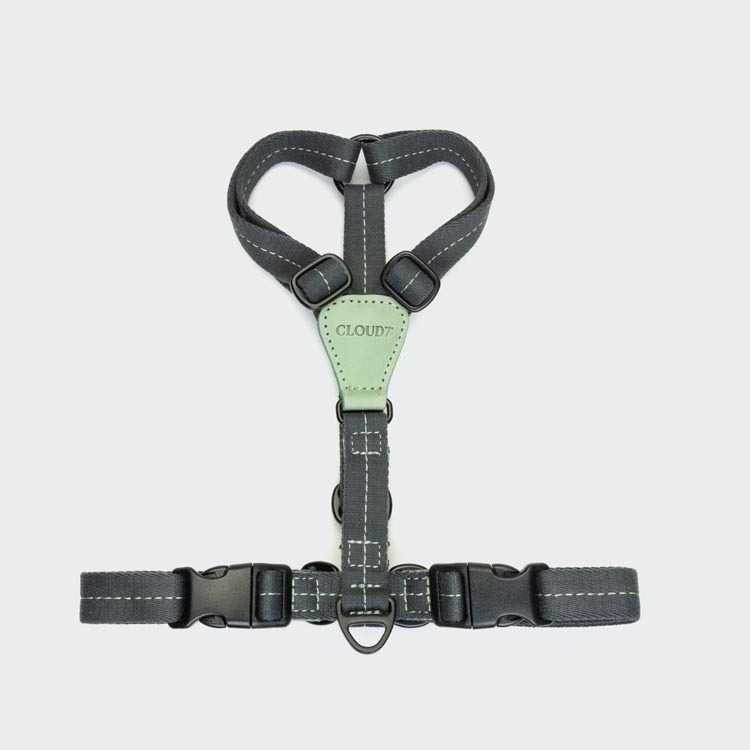 CLOUD7 - 胸背帶 Madeira - 薄荷