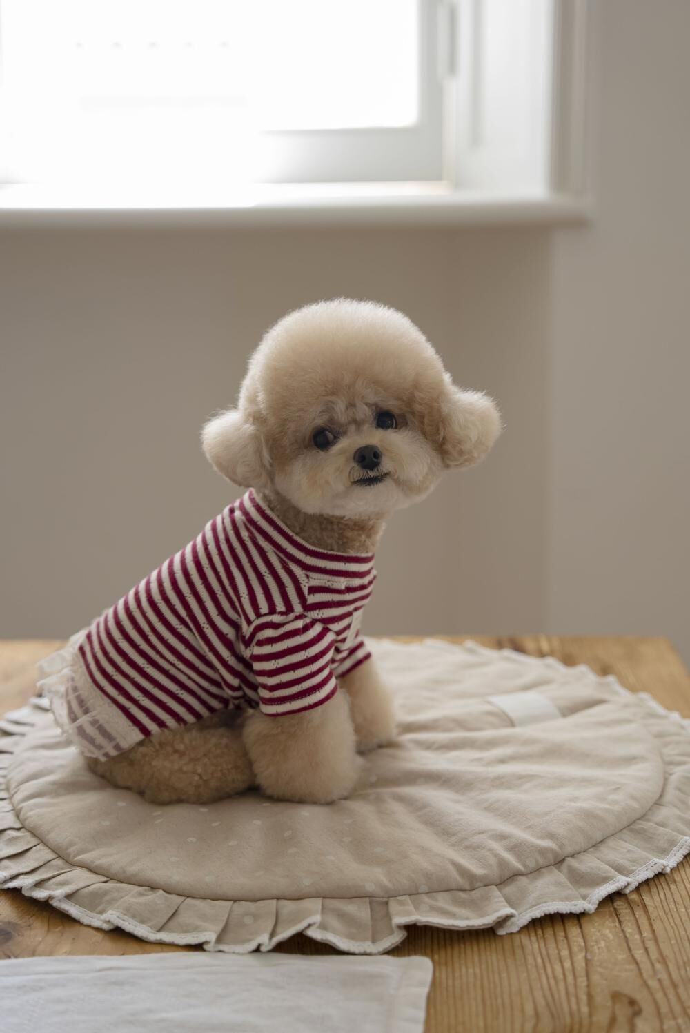 OPAAAP 梅森居家條紋T-Shirt（紅寶石）