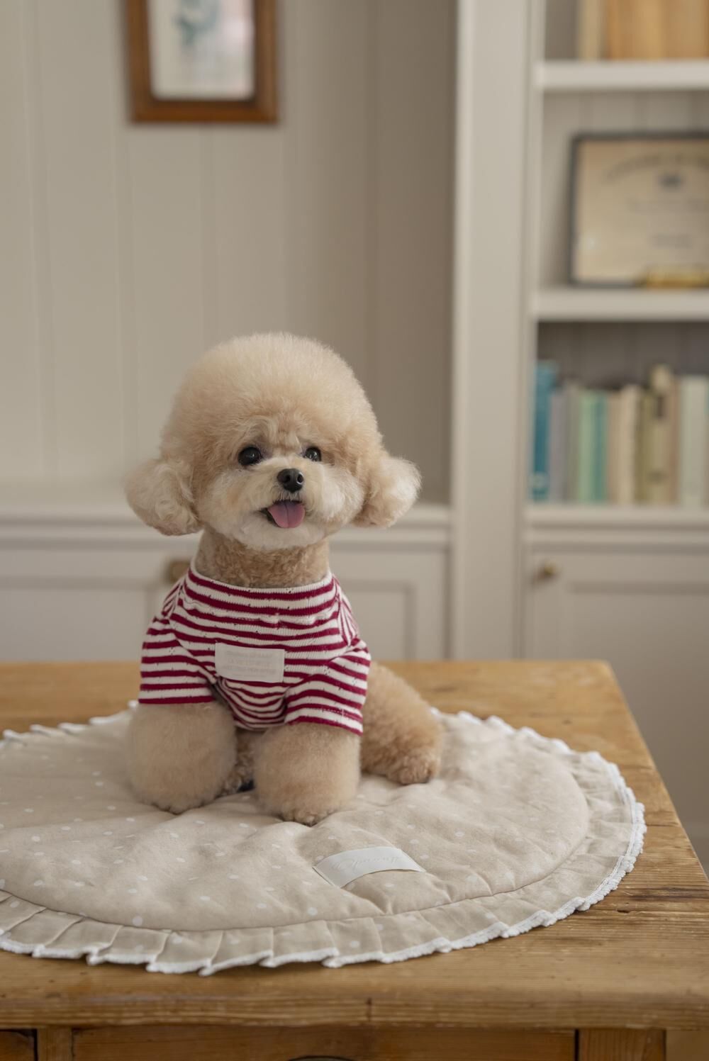 OPAAAP 梅森居家條紋T-Shirt（紅寶石）