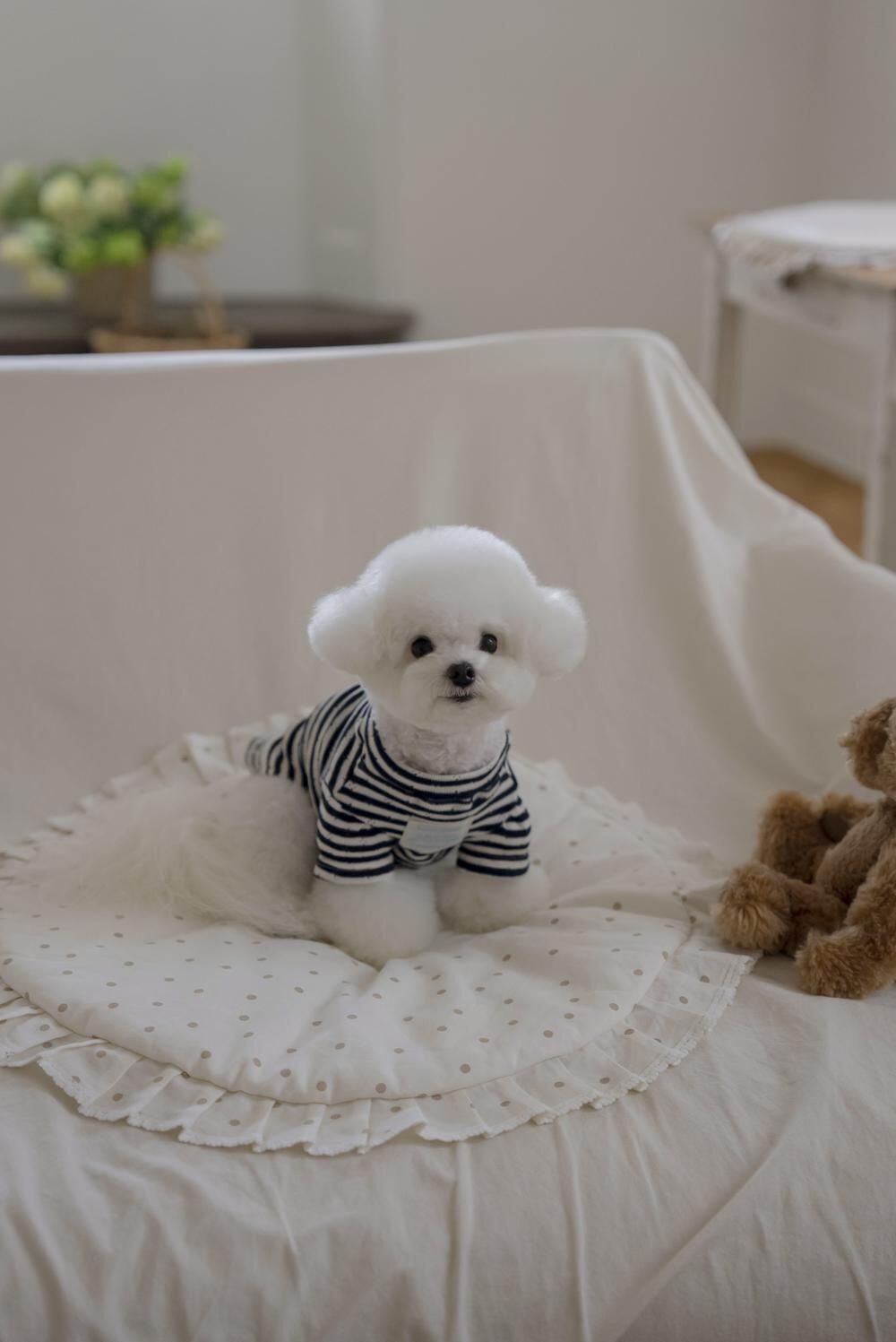 OPAAAP 梅森居家條紋T-Shirt（海軍藍）