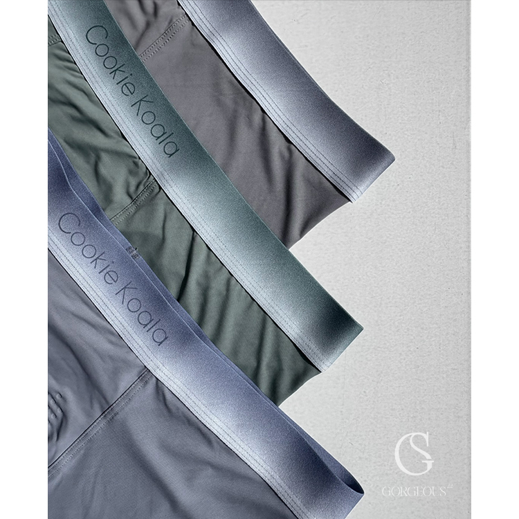 D133「桑蠶絲漸變能量內褲(男款)」