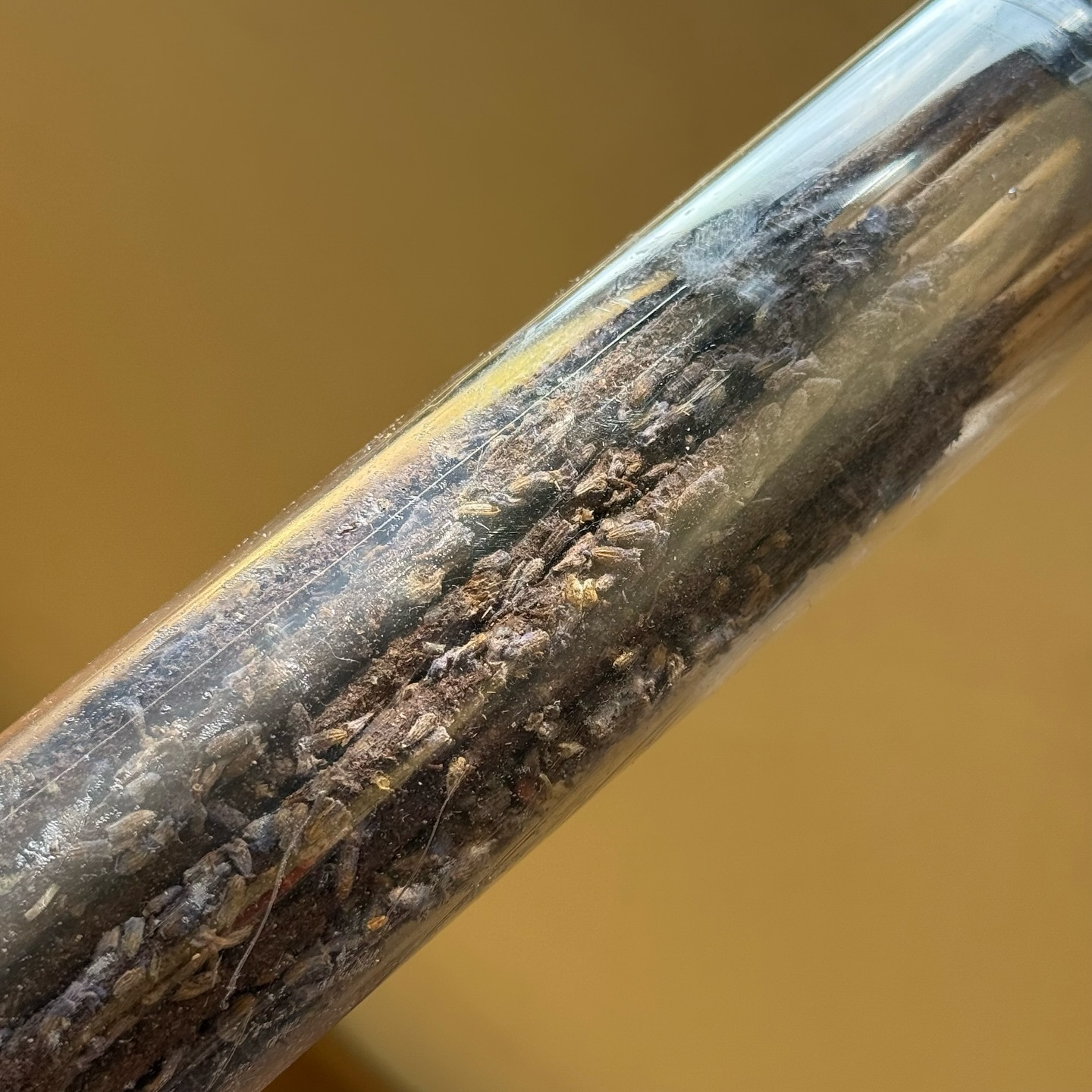 [原石] 薰衣草線香 盒裝