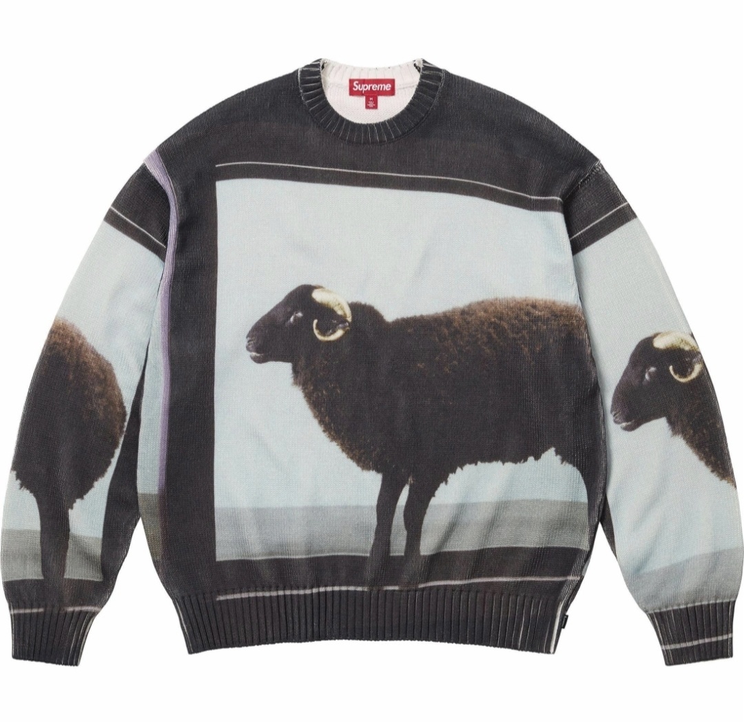 SUPREME X DAMIEN HIRST SWEATER 毛衣