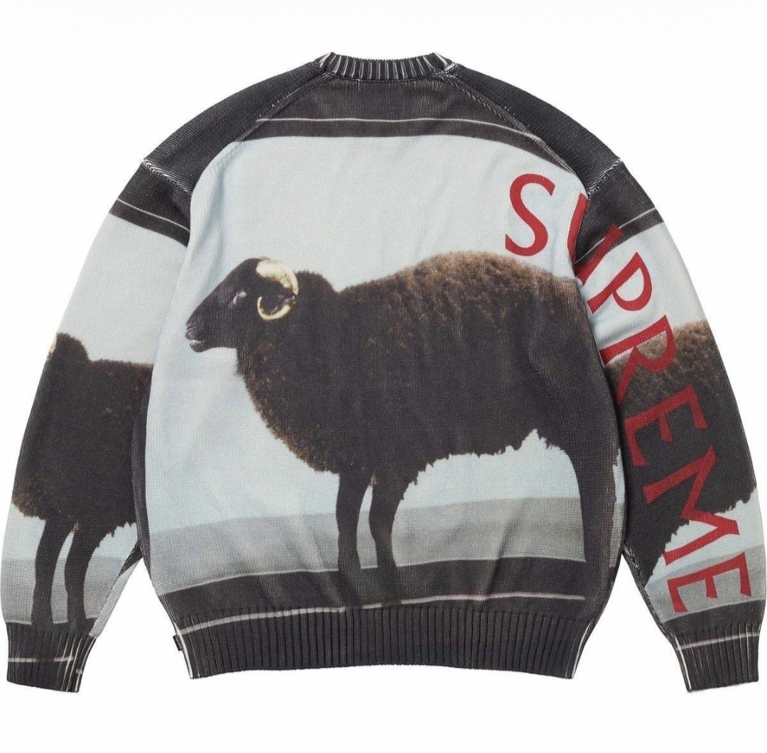 SUPREME X DAMIEN HIRST SWEATER 毛衣