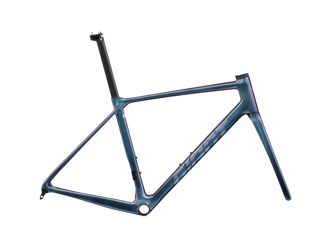 Giant 2025 TCR Advanced Pro 公路車車架連前叉/ GiantT 2025 TCR Advanced Pro Frame & Fork